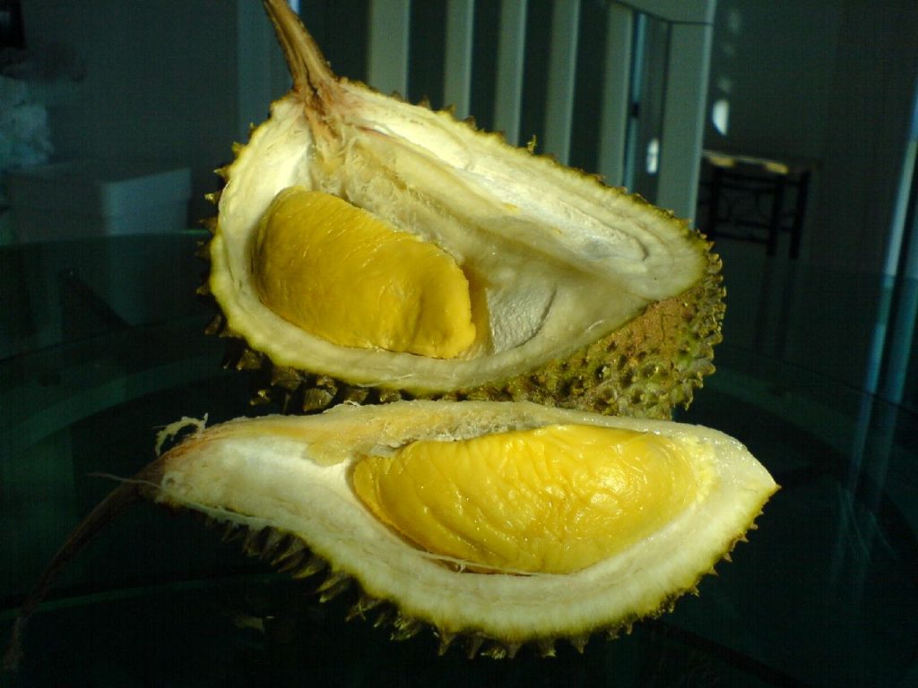 Z durianu sa konzumuje žltá dužina (Zdroj - Flickr / Irrational_cat)