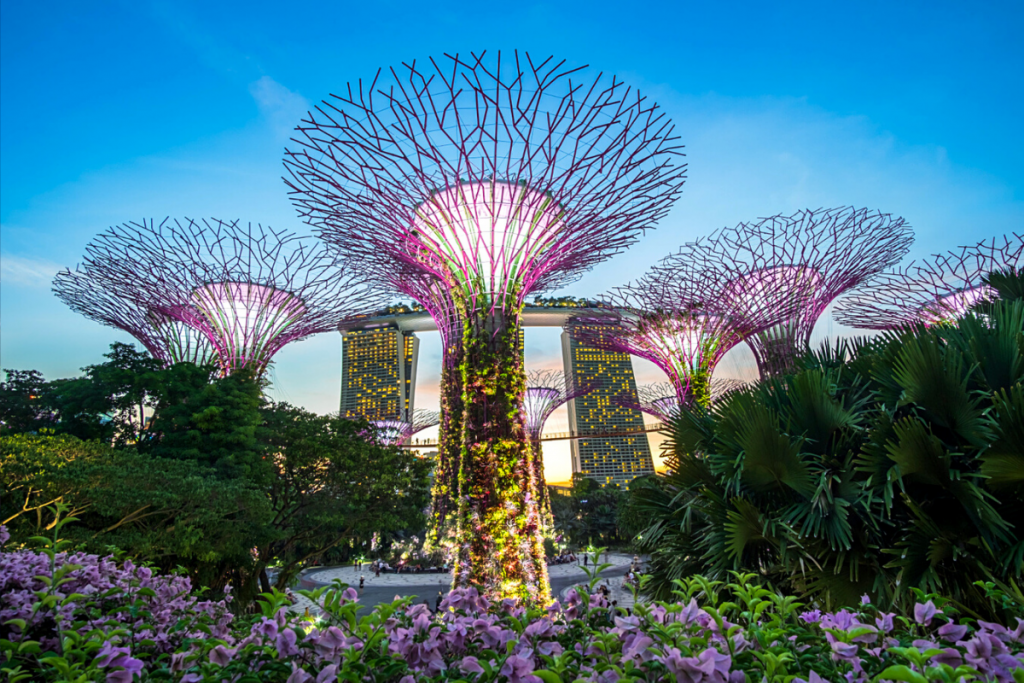 park zahrada stromy singapur