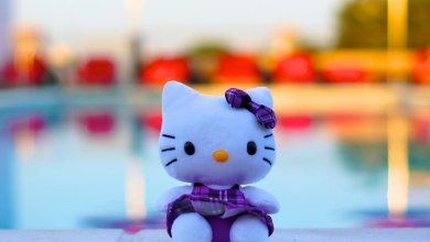 Hello Kitty je svetovým fenoménom už niekoľko desaťročí (Zdroj - Flickr / Ted Eytan)