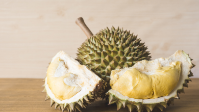 Durian je kráľom ovocí (Zdroj - Freepik)