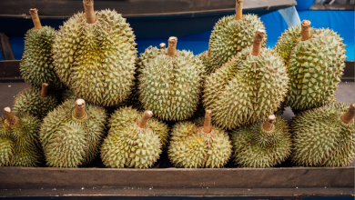 Ovocie durian sa predáva bežne na trhoch v Ázii (Zdroj - Freepik)