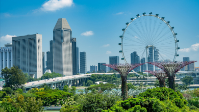 panorama mesto park singapur