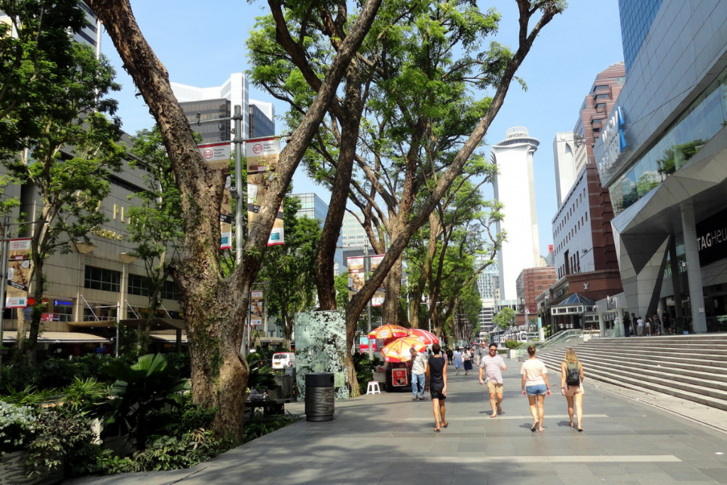 ulica zelen zakony singapur