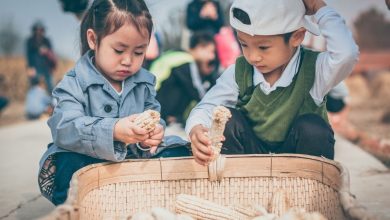 (zdroj obrázku: canva.com)