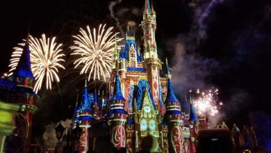 Disneyland (zdroj obrázku: canva.sk)
