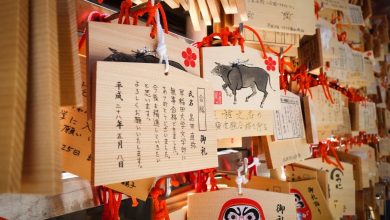 (zdroj obrázku: canva.com)