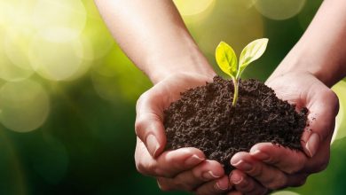 (zdroj obrázku: canva.com)