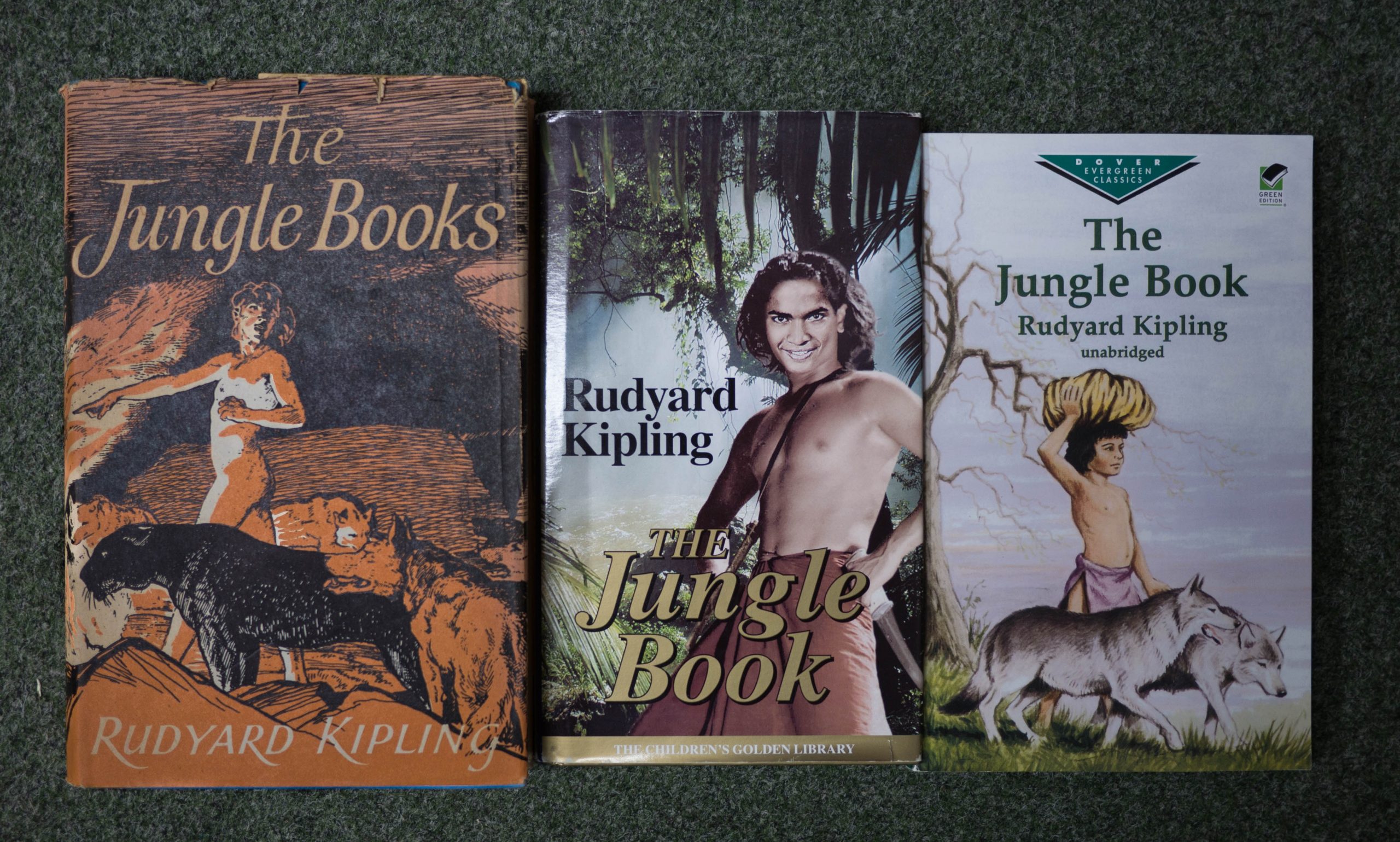 Ukážka ďalších kníh, ktoré si obľúbili ľudia po celom svete (zdroj obrázku: flickr/Damian Cugley)