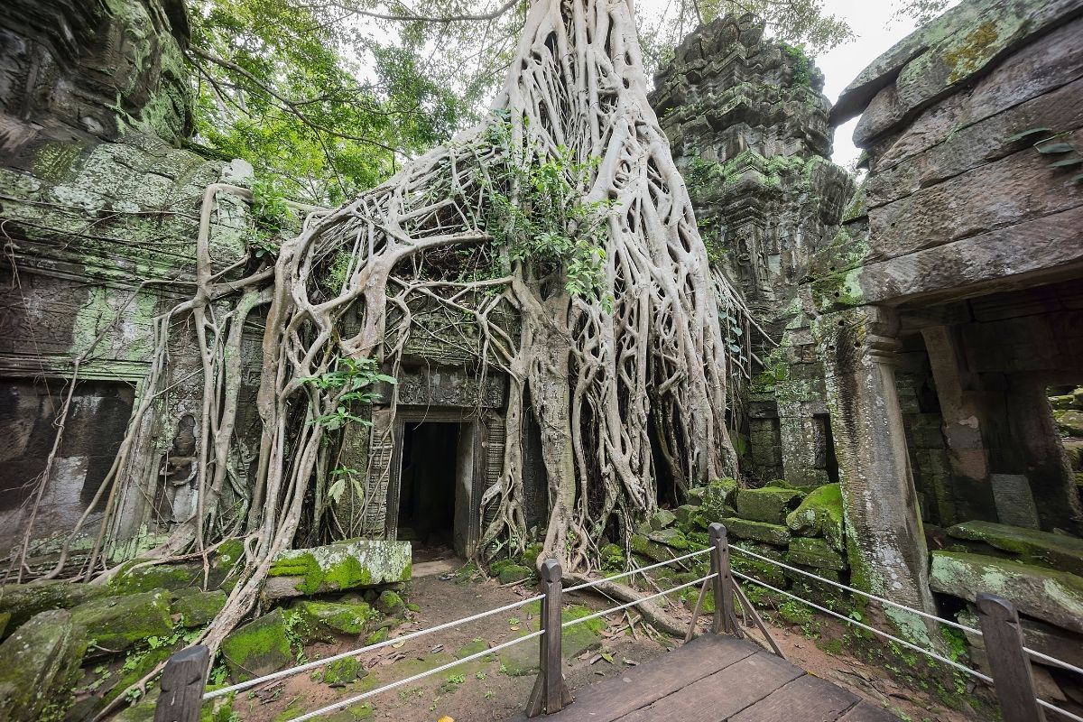 Ta Prohm (zdroj obrázku: canva.com)