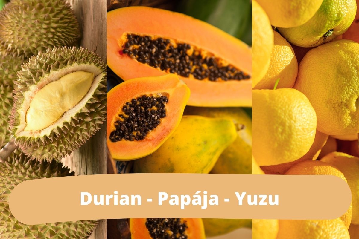Takto vyzerá: Durian - Papája - Yuzu (zdroj obrázku: canva.com)