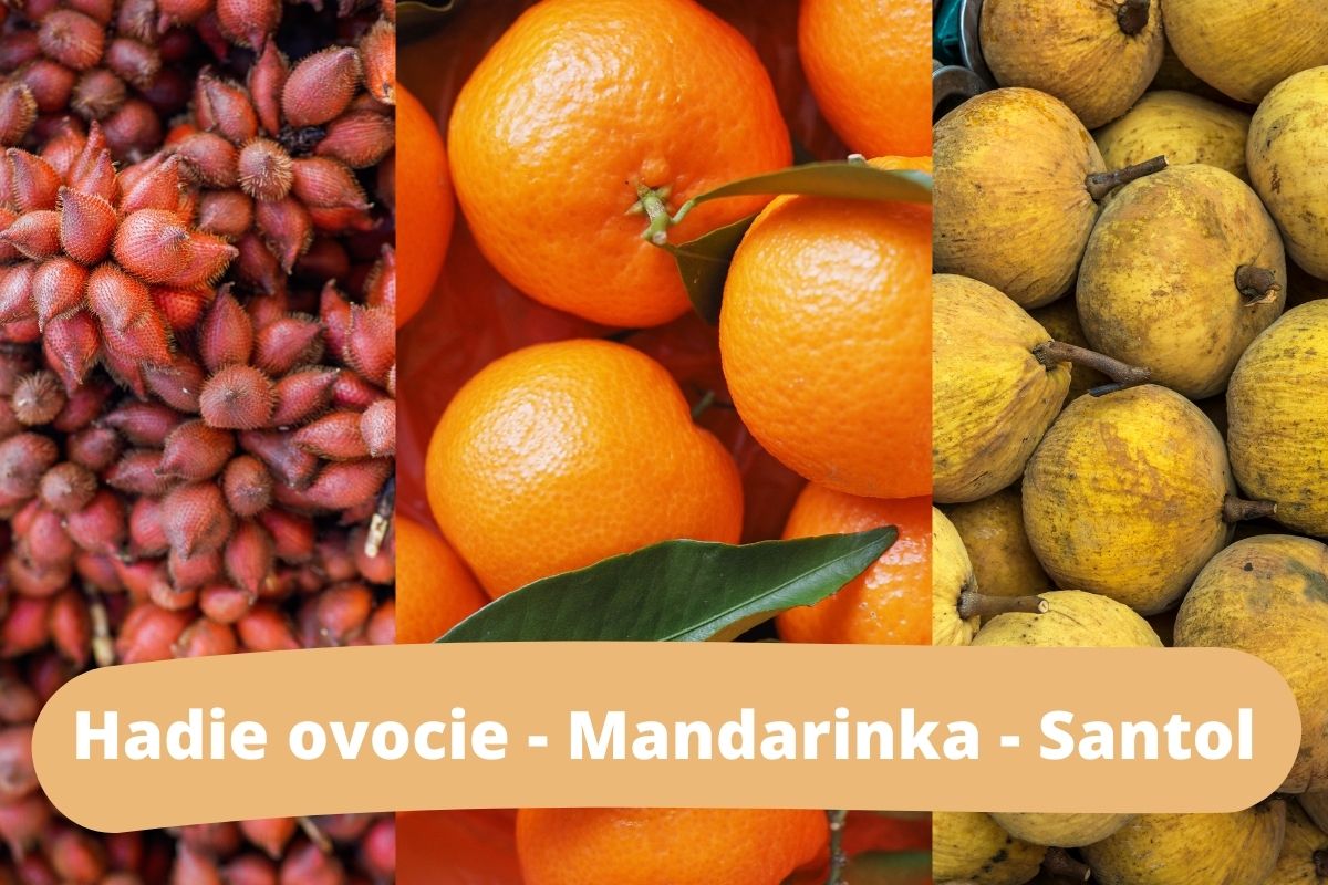 Takto vyzerá: Hadie ovocie - Mandarinka - Santon (zdroj obrázku: canva.com)