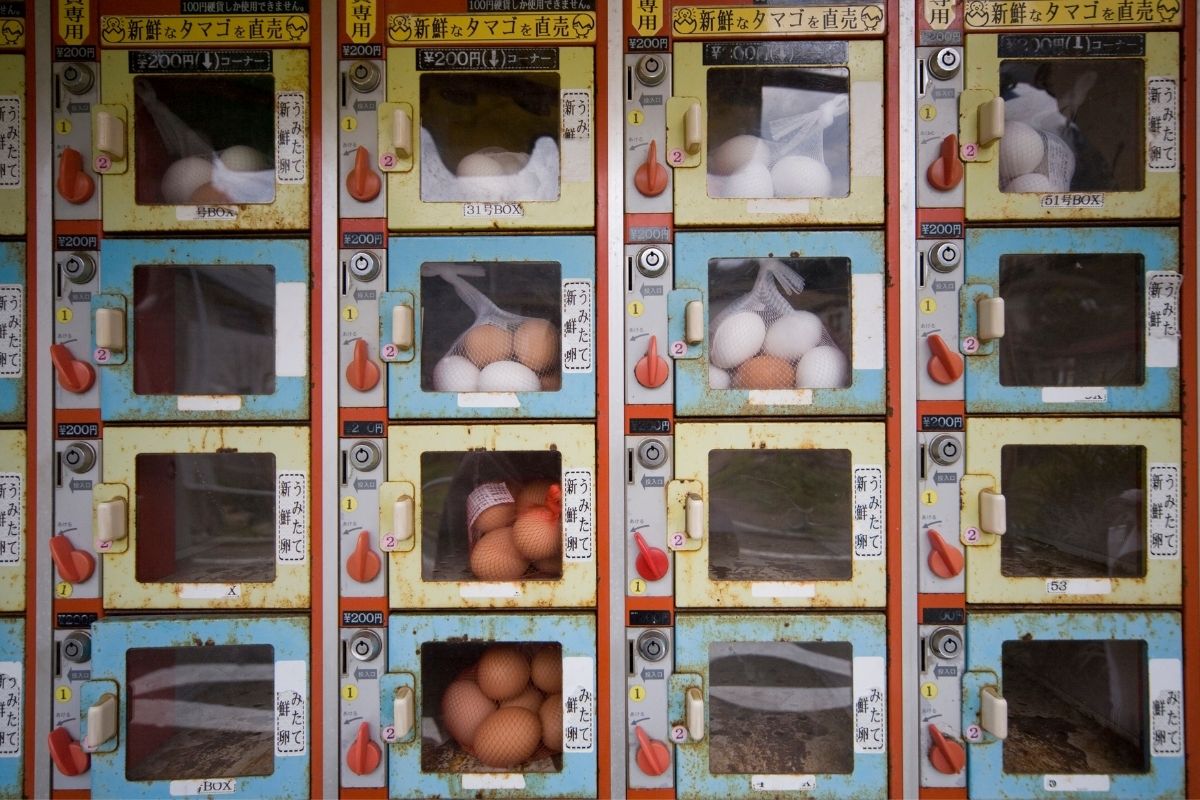 V automate si môžete kúpiť aj čerstvé vajíčka (zdroj obrázku: canva.com)