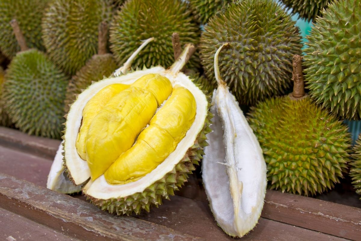 Durian (zdroj obrázku: canva.com)