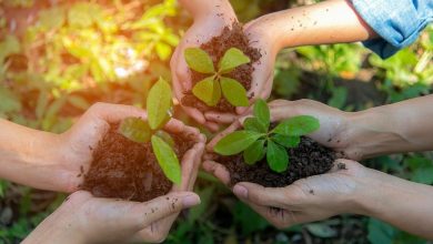 (zdroj obrázku: canva.com)