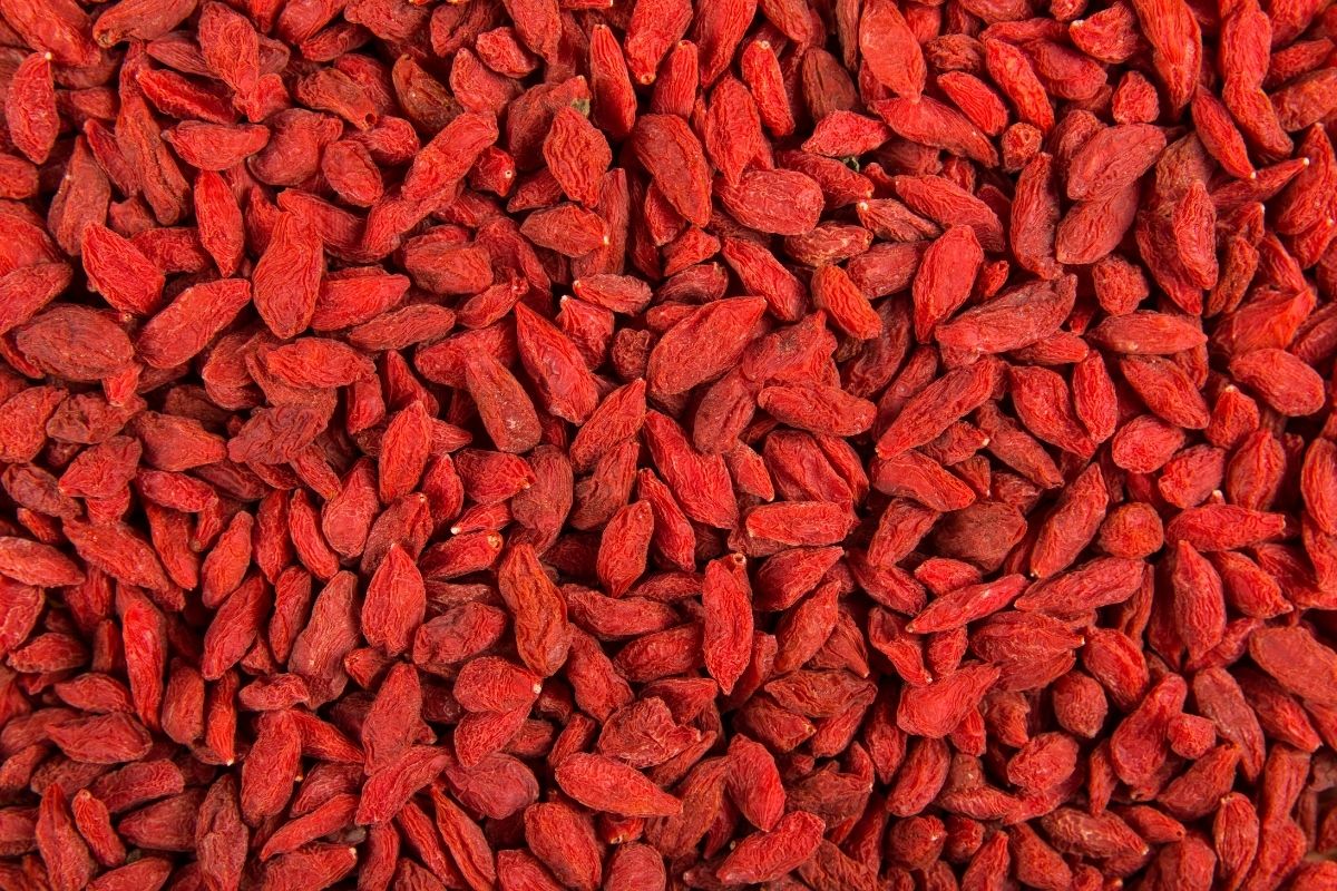 Goji (zdroj obrázku: canva.com)