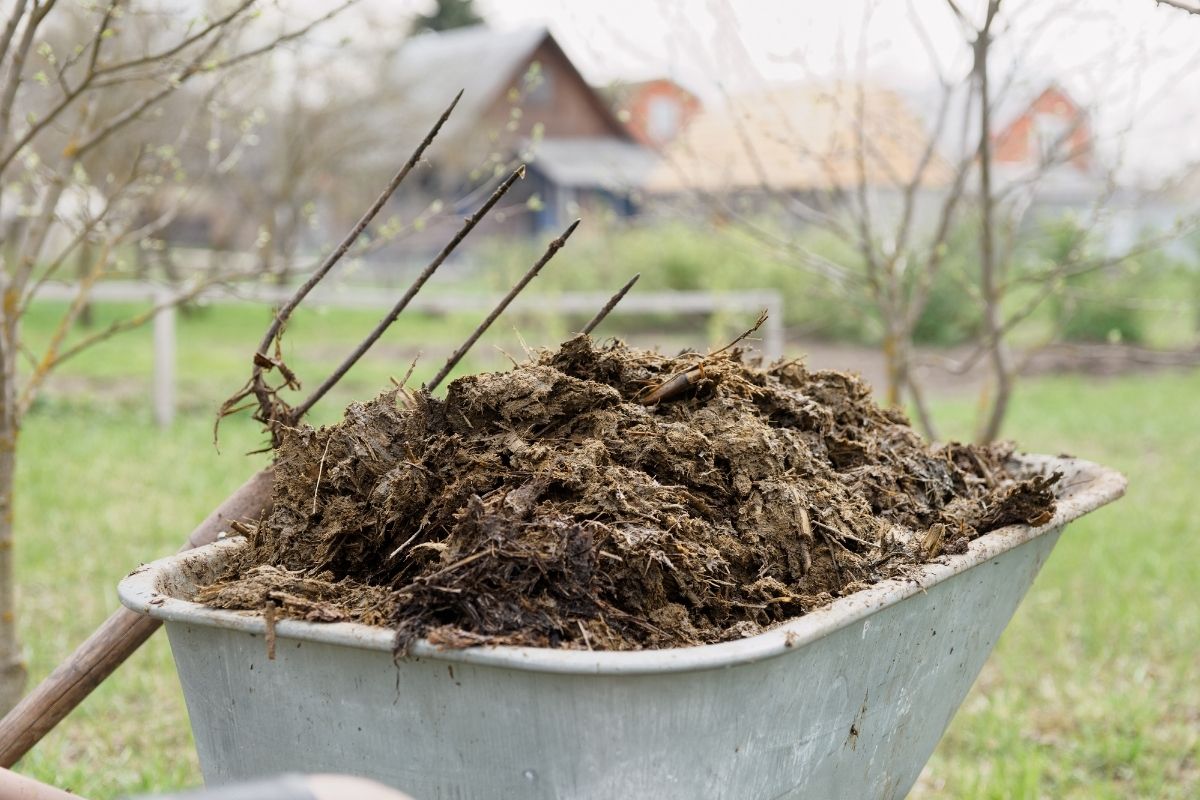 Je úžasné, že aj kopa hnoja sa dá premeniť na energiu, ktorá dokáže ľuďom uľahčiť život (zdroj obrázku: canva.com)