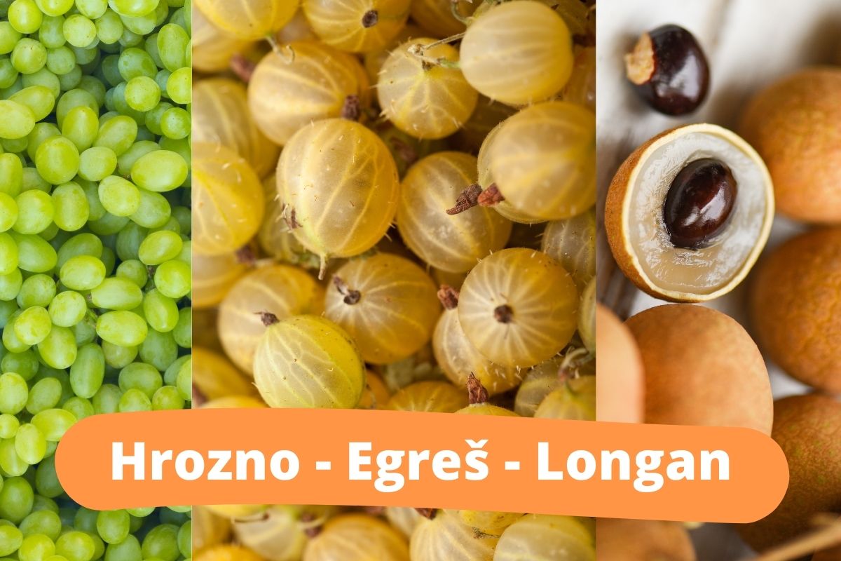 Takto vyzerá: Hrozno - Egreš - Longan (zdroj obrázku: canva.com)