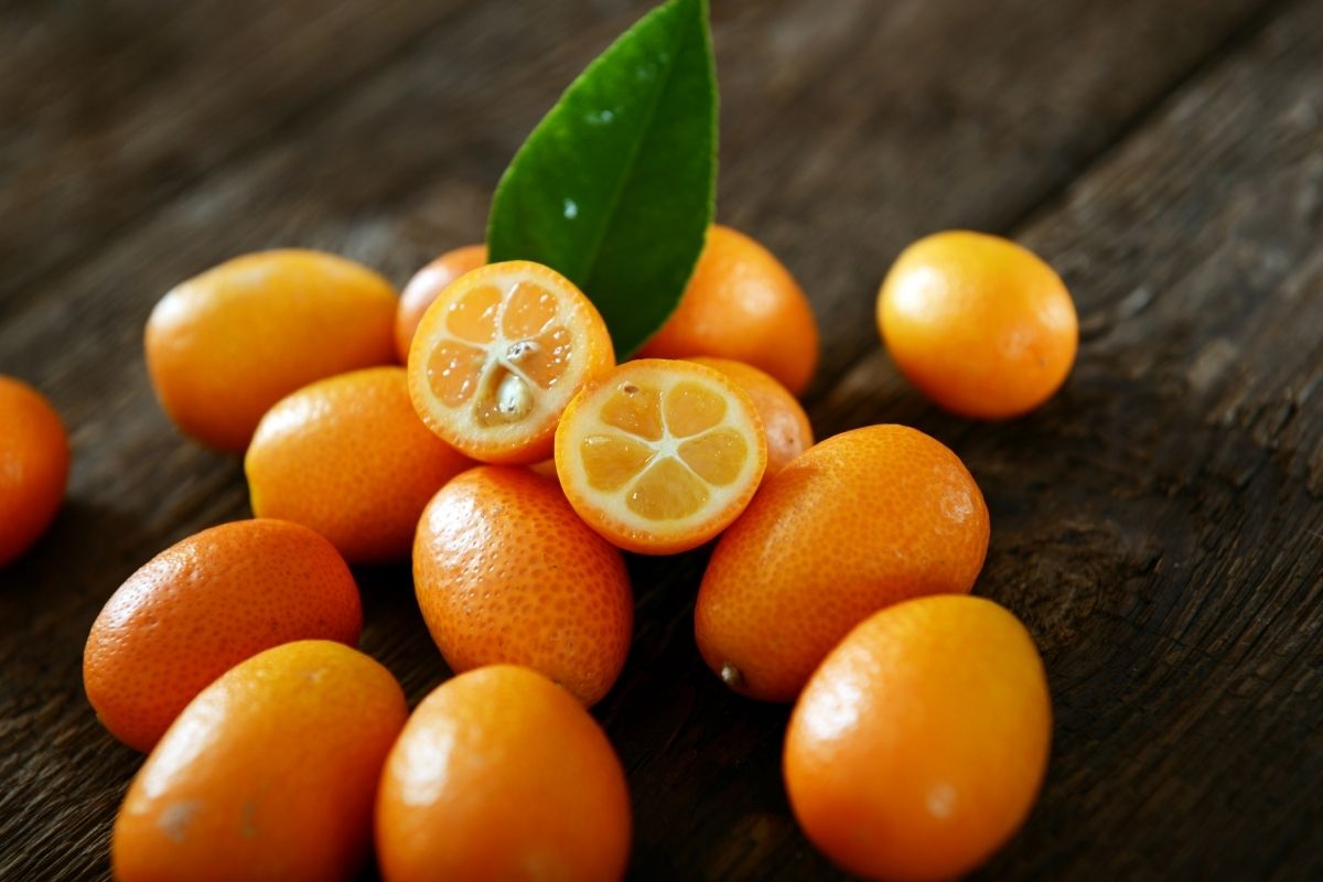 Kumquat (zdroj obrázku: canva.com)