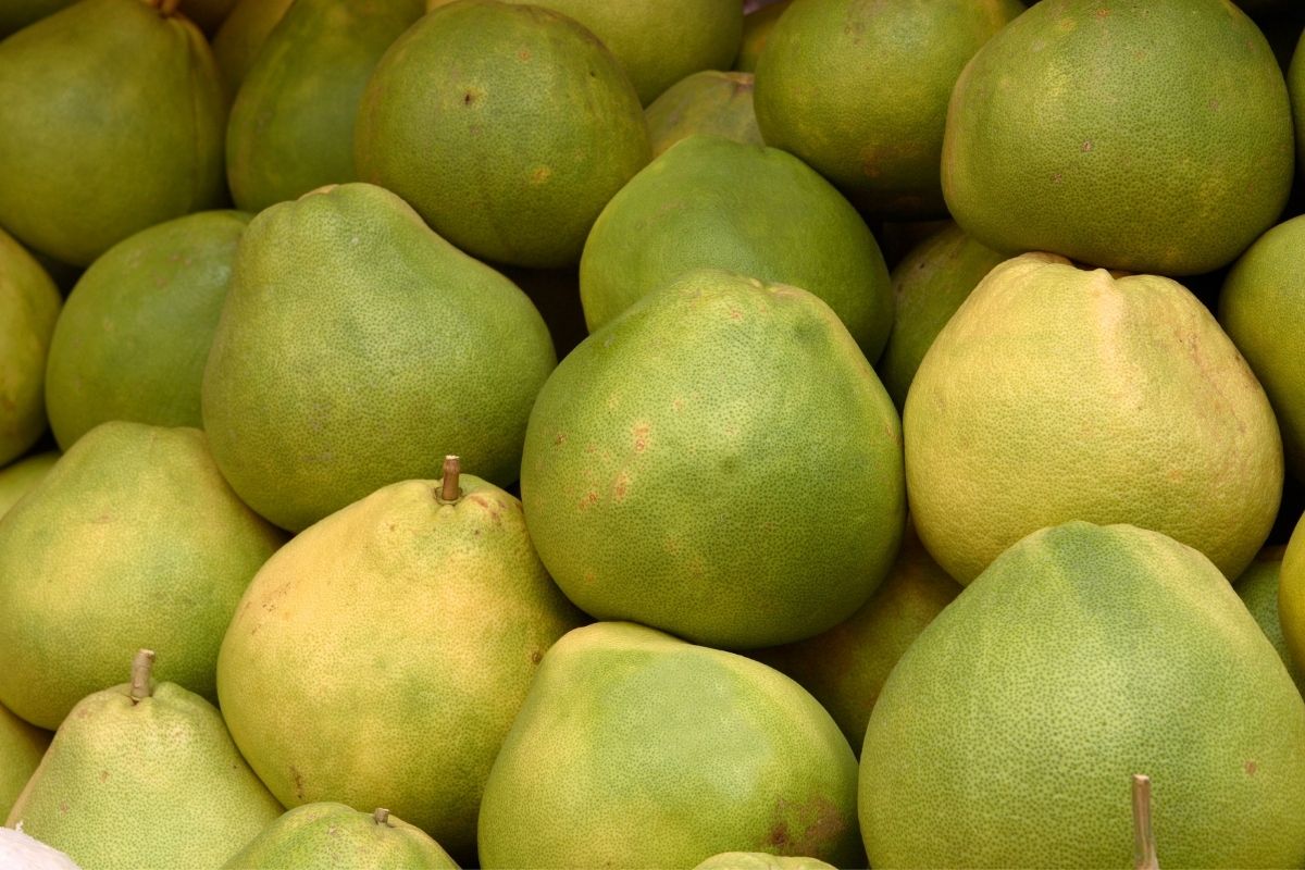 Pomelo (zdroj obrázku: canva.com)