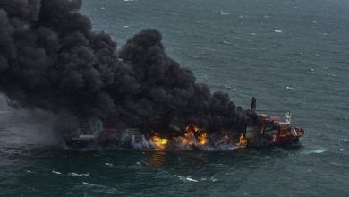 Na čistení pláží sa pod(zdroj obrázku: SITA/AP Photo/Eranga Jayawardena)