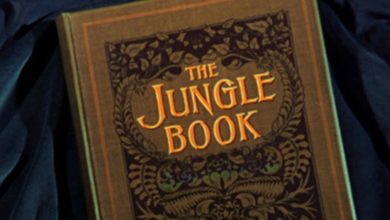 (zdroj obrázku: flickr/Susanlenox)