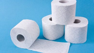 (zdroj obrázku: canva.com)