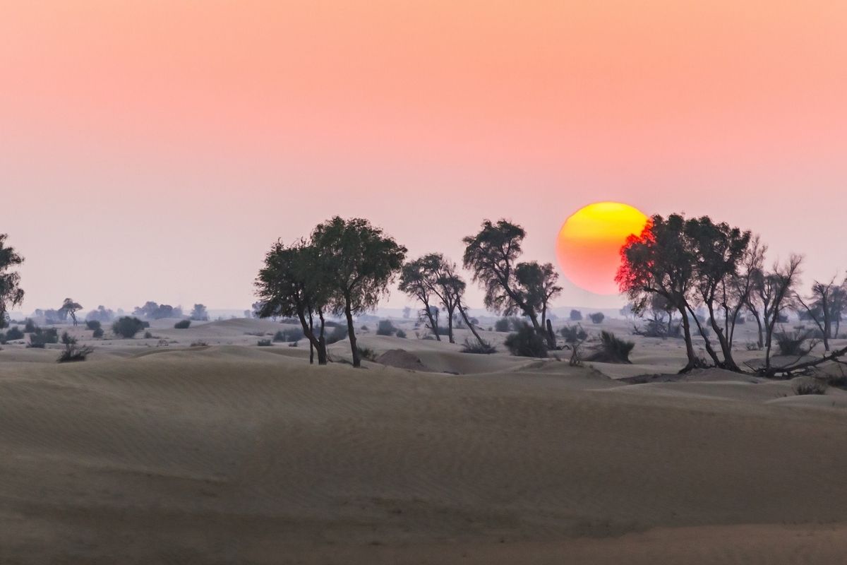 Arabská púšť (zdroj obrázku: canva.com)