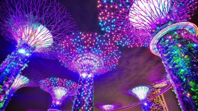 Singapur (zdroj obrázku: canva.com)