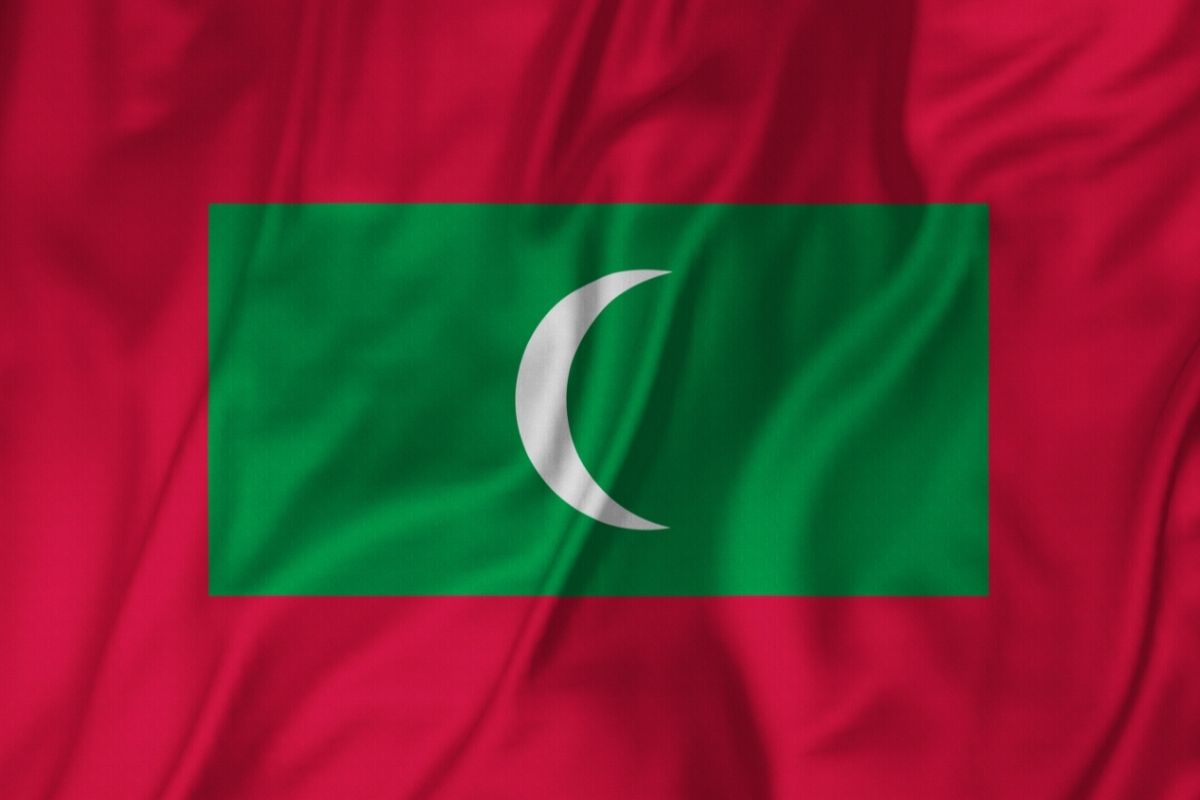 Oficiálna vlajka (zdroj obrázku: canva.com)