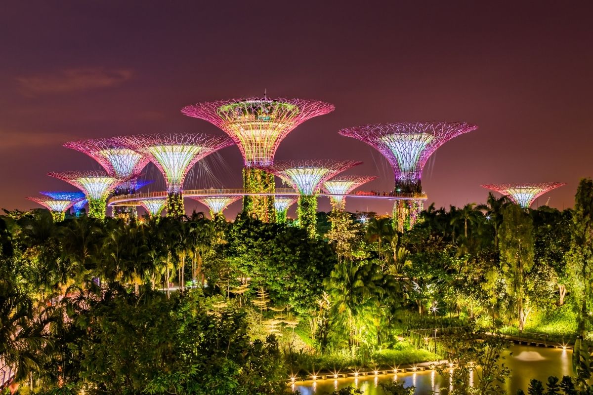 Gardens By The Bay je klenotom Singapuru (zdroj obrázku: canva.com)