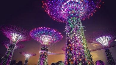 Gardens By The Bay (zdroj obrázku: canva.com)