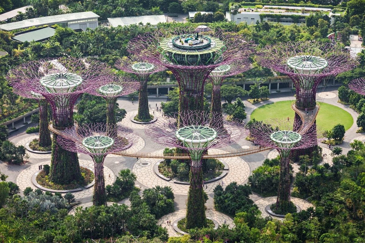 V srdci Gardens By The Bay môžu návštevníci nájsť obrovské stromy (zdroj obrázku: canva.com)