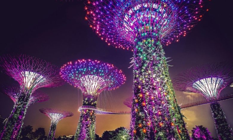 Gardens By The Bay (zdroj obrázku: canva.com)