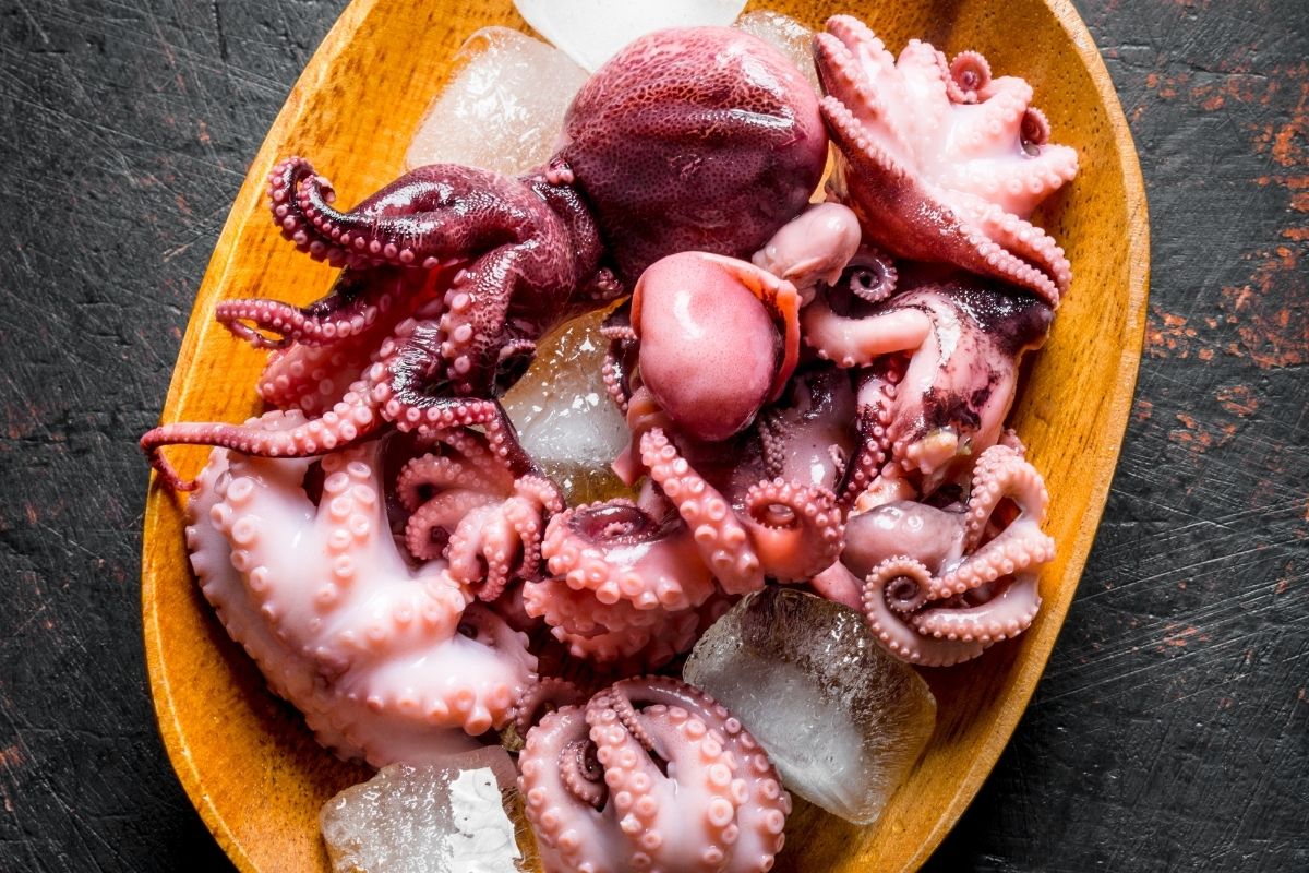 Čerstvá chobotnica je v Južnej Kórei veľkou pochúťkou (zdroj obrázku: canva.com)