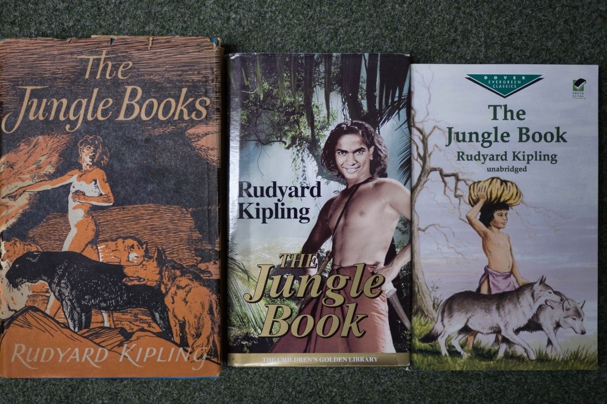 Kniha džungle (zdroj obrázku: flickr/Damian Cugley)