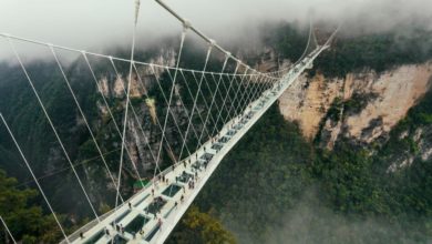 Najvyšší sklenený most - Zhangjiajie (zdroj obrázku: canva.com)