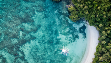 Ostrov Bohol (zdroj obrázku: canva.com)