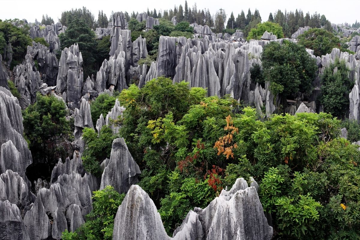 Kamenný les Shilin (zdroj obrázku: canva.com)