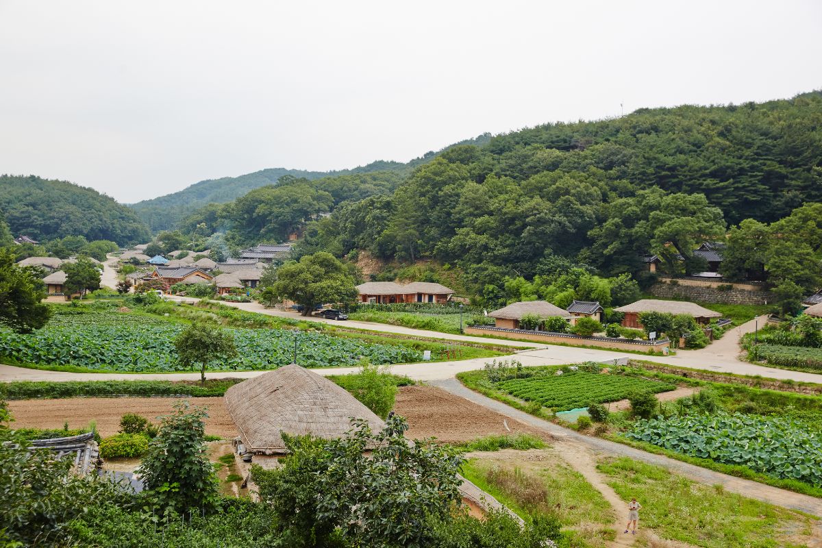 Yangdong Folk Village (zdroj obrázku: canva.com)