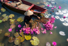Vietnam (zdroj obrázku: canva.com)